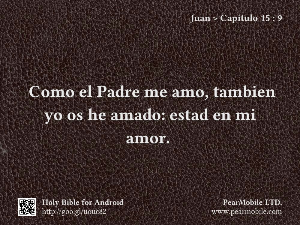 Juan, Capítulo 15:9